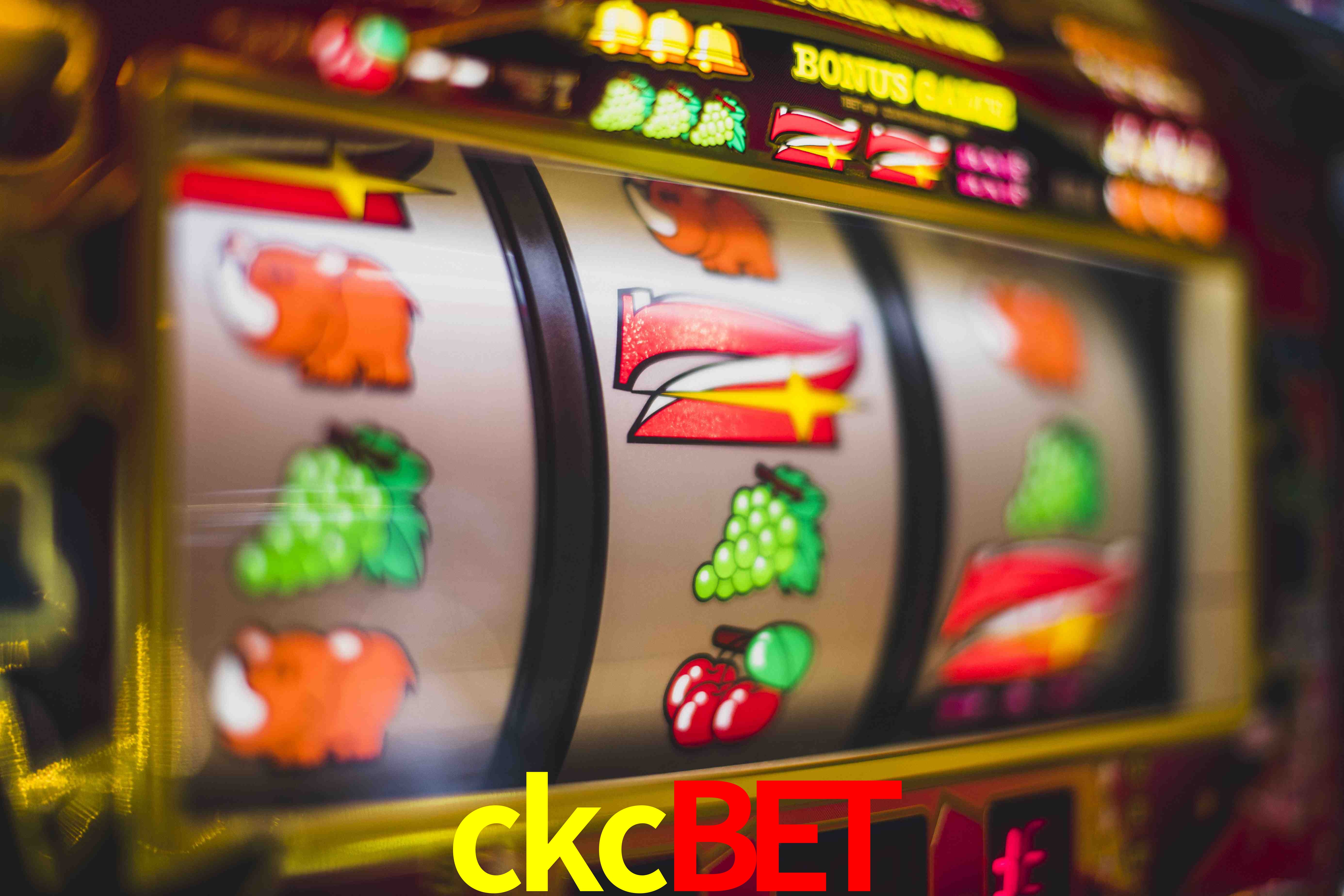 Statistics ckcbet